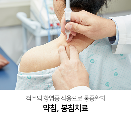 척추의-항염증-작용으로-통증완화-약침,-봉침치료