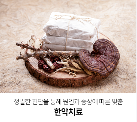 정밀한-진단을-통해-원인과-증상에-따른-맞춤-한약치료